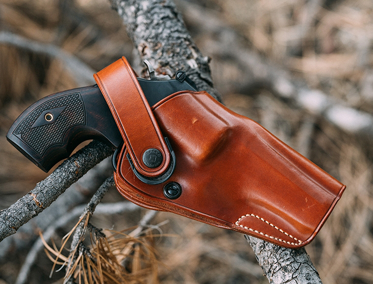 Holster-DIR